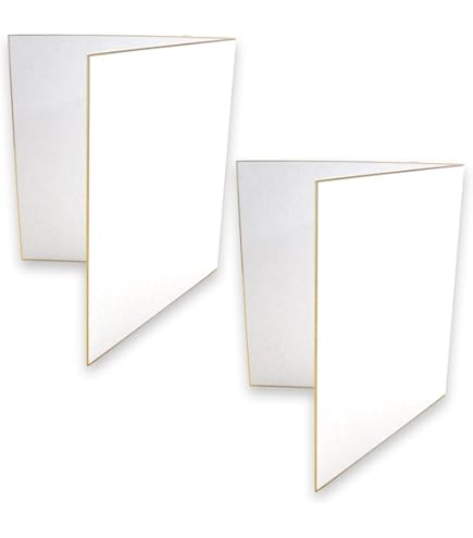 Amazon | 二つ折り色紙 両面 白無地 27.3cm×48.4cm 金縁 サイン色紙 3